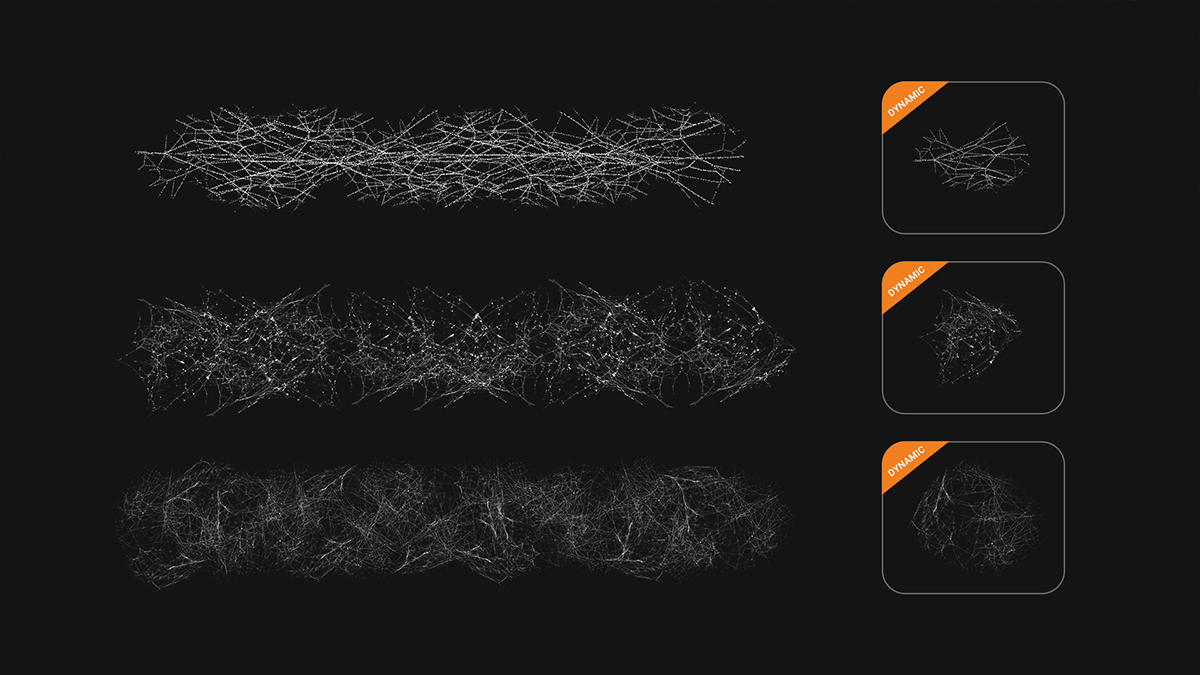3-Spider-Web-brushes.jpg