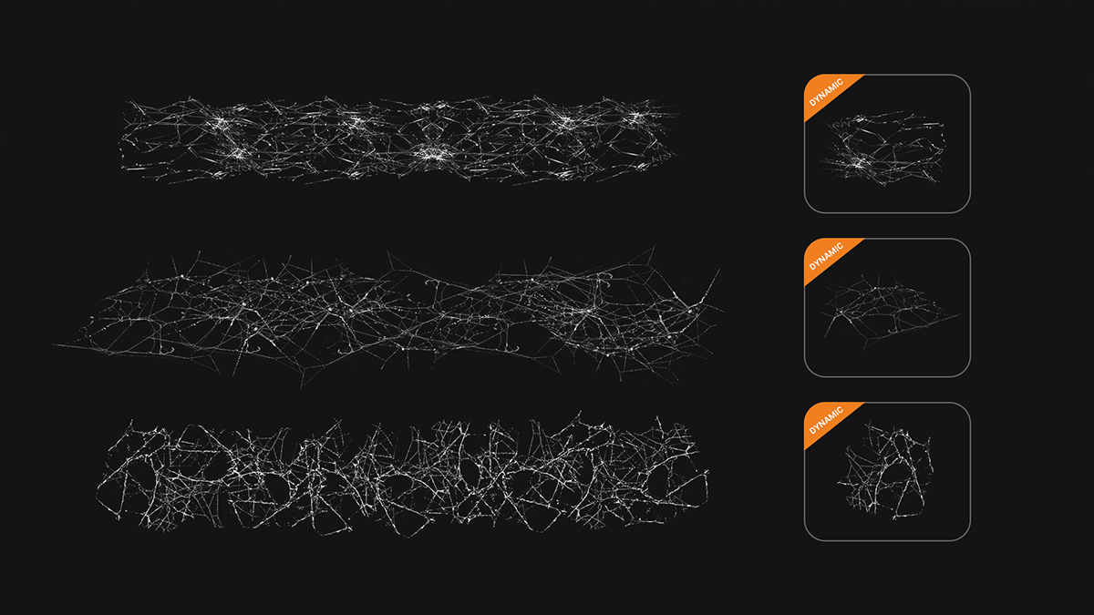 4-Spider-Web-brushes.jpg