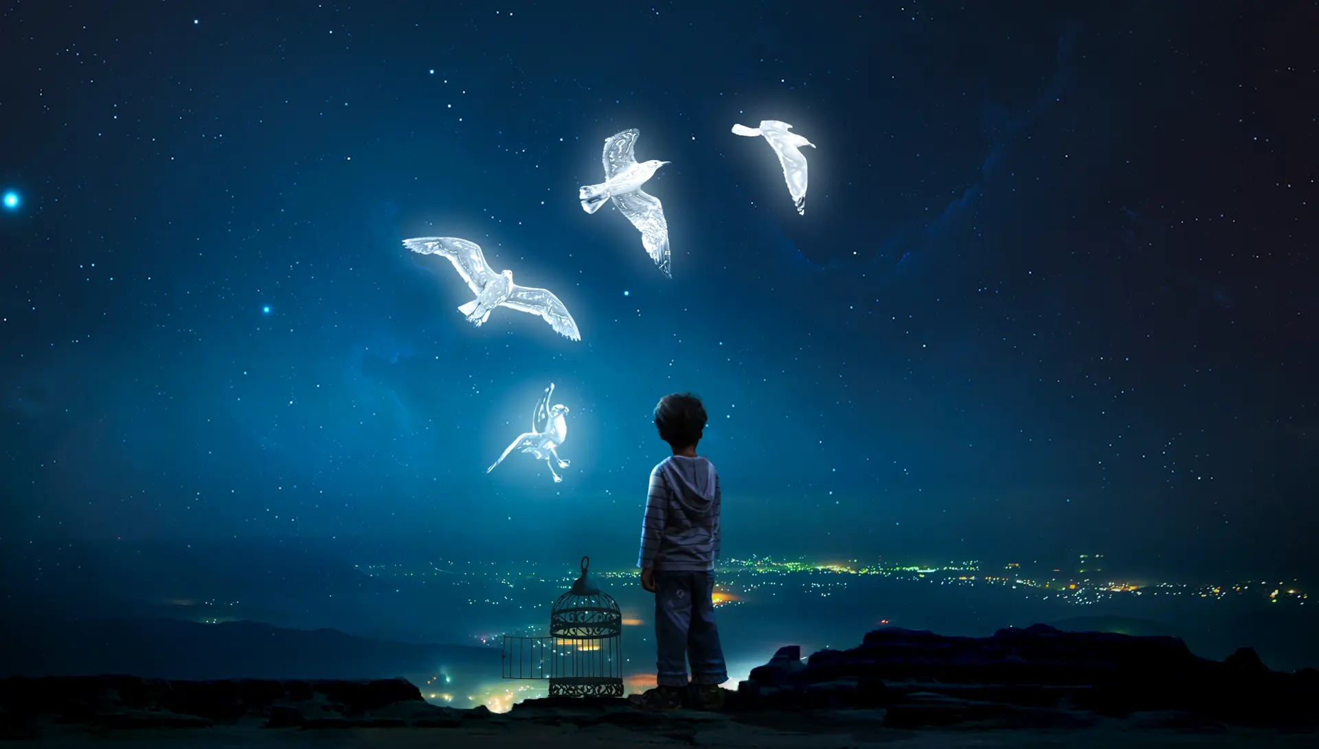 Freedom