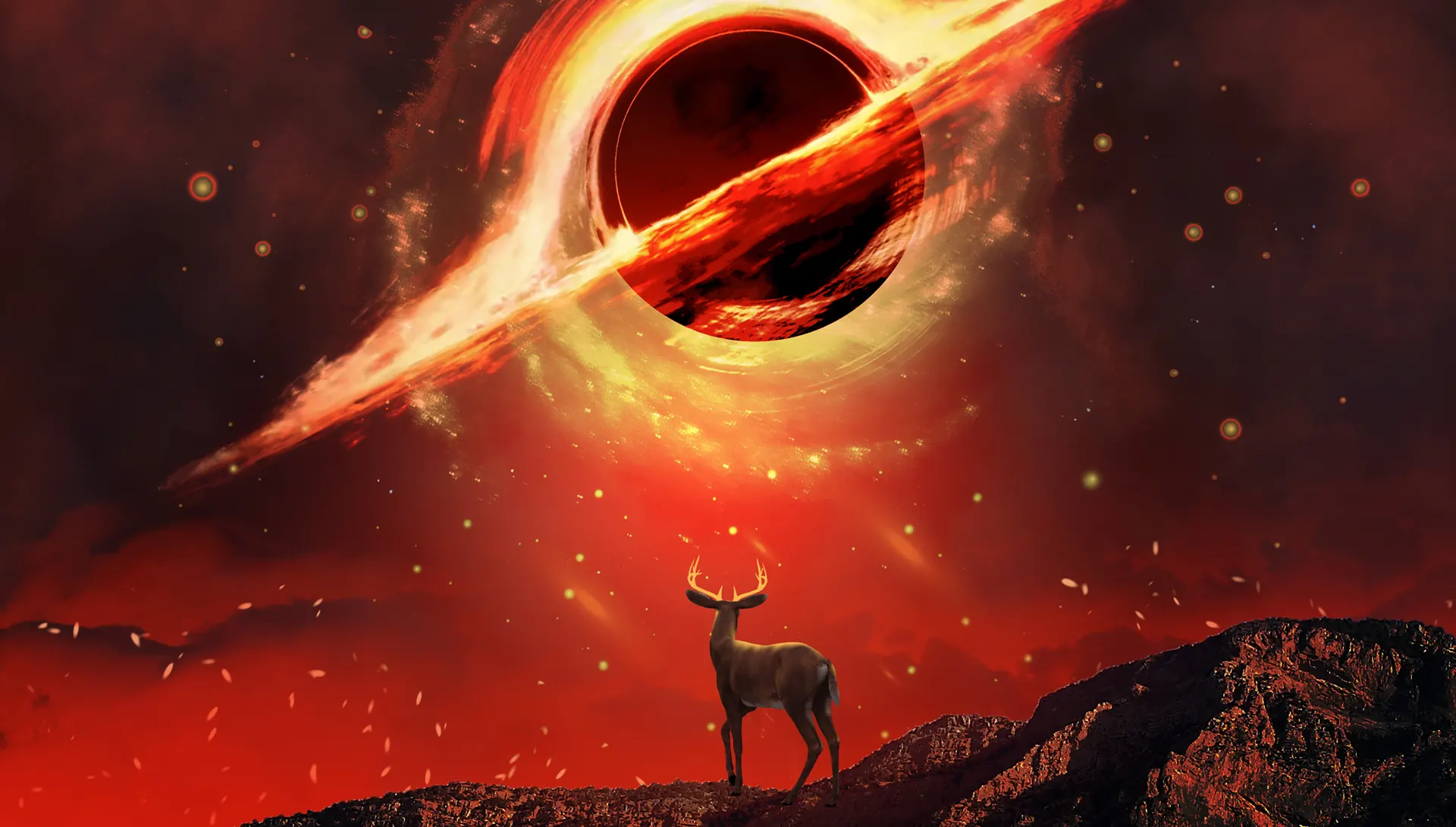Red Night